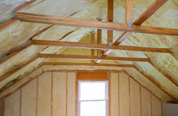 Best Residential Insulation in Skidway Lake, MI