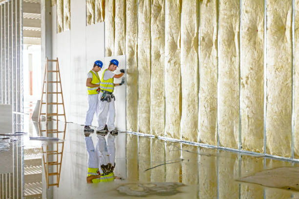 Best Insulation for Specific Applications in Skidway Lake, MI